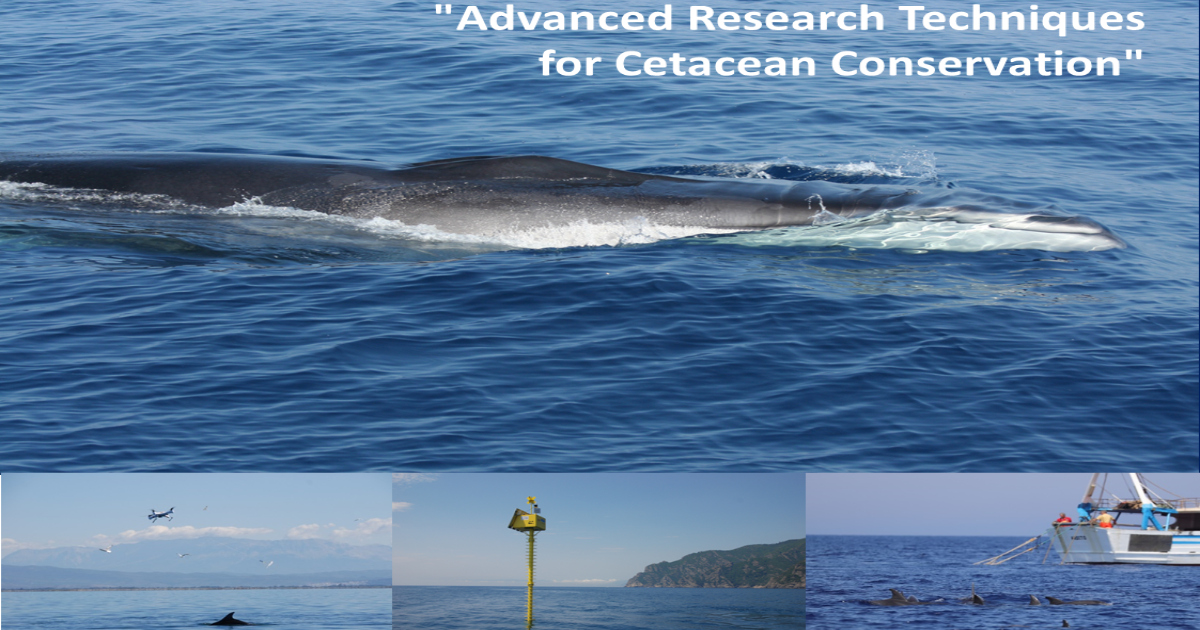 Graphical abstract - Jessica Alessi - Me.Ri.S.: images 1 and 4. Davide Pedrotti - CERT UniPD: images 2. Mauro G. Taiuti - DiFi UniGE